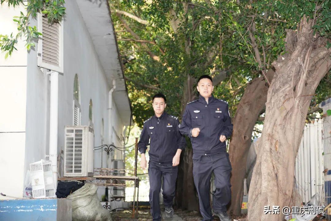 莆田股票配资，风险与机遇并存的资本游戏