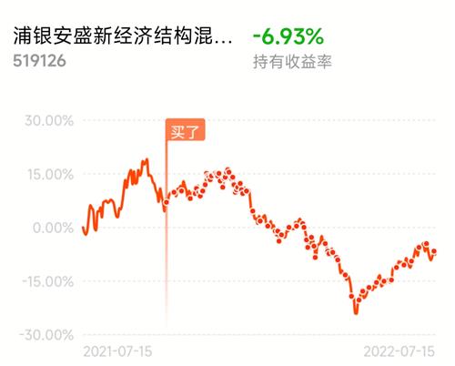 安盛股票，稳健投资与全球视野的双重保障