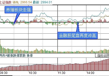 探索股市新利器，金虎炒股软件手机版下载指南