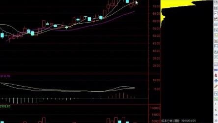 股票交易中的T策略，深度解析与实战指南