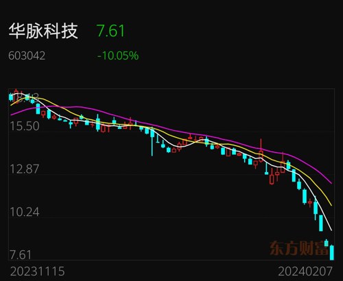 探秘华脉科技股票价格，波动背后的逻辑与未来展望