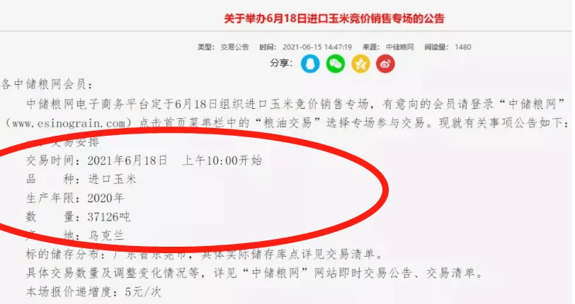解锁市场新机遇，卖进口尾货展现卓越竞争力