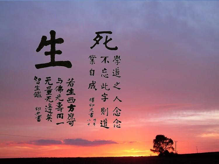 揭秘做空股票的来源，从何而来，如何运作