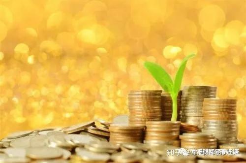 芝麻金融，互联网金融的微小却强大的力量