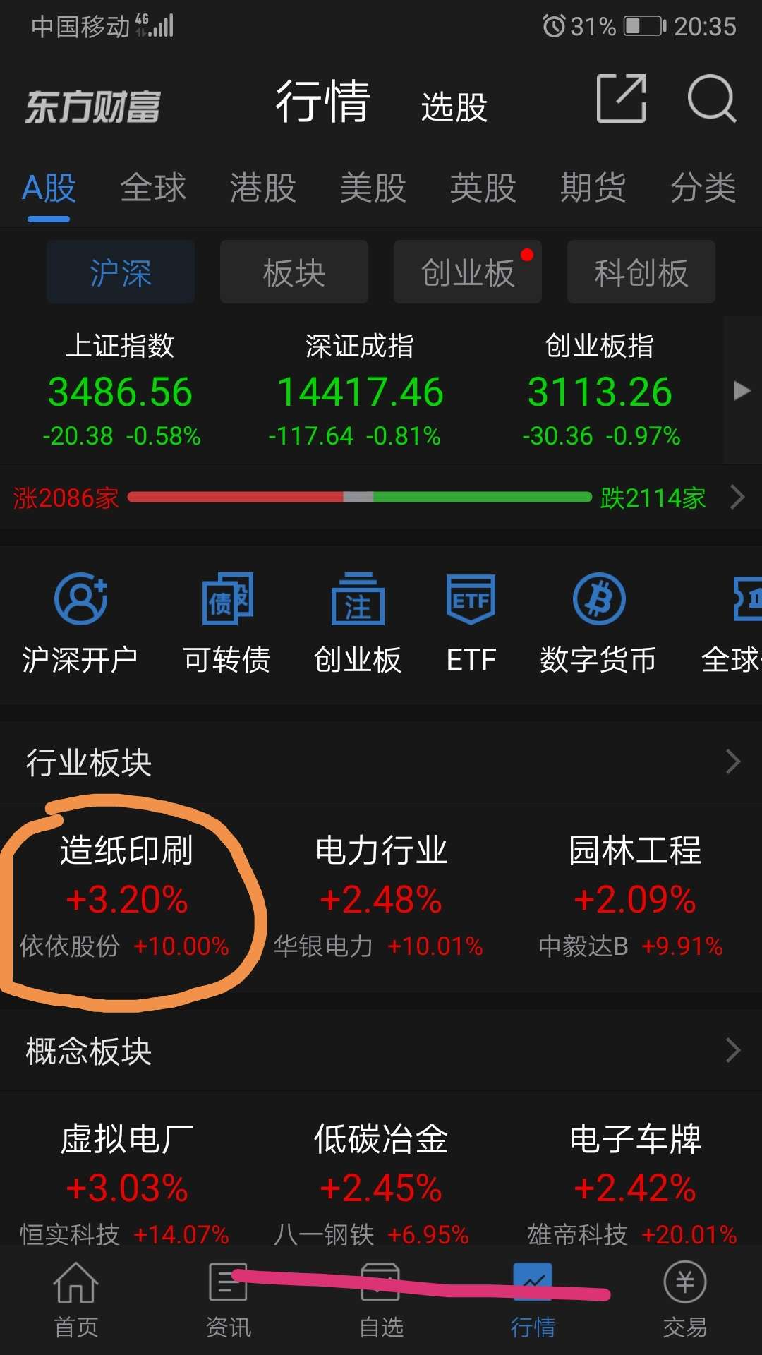 造纸板块股票，绿色经济下的新机遇与挑战