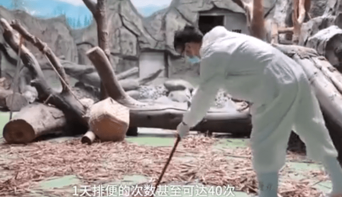 超级巨星陨落？当令人失望的表现成为常态