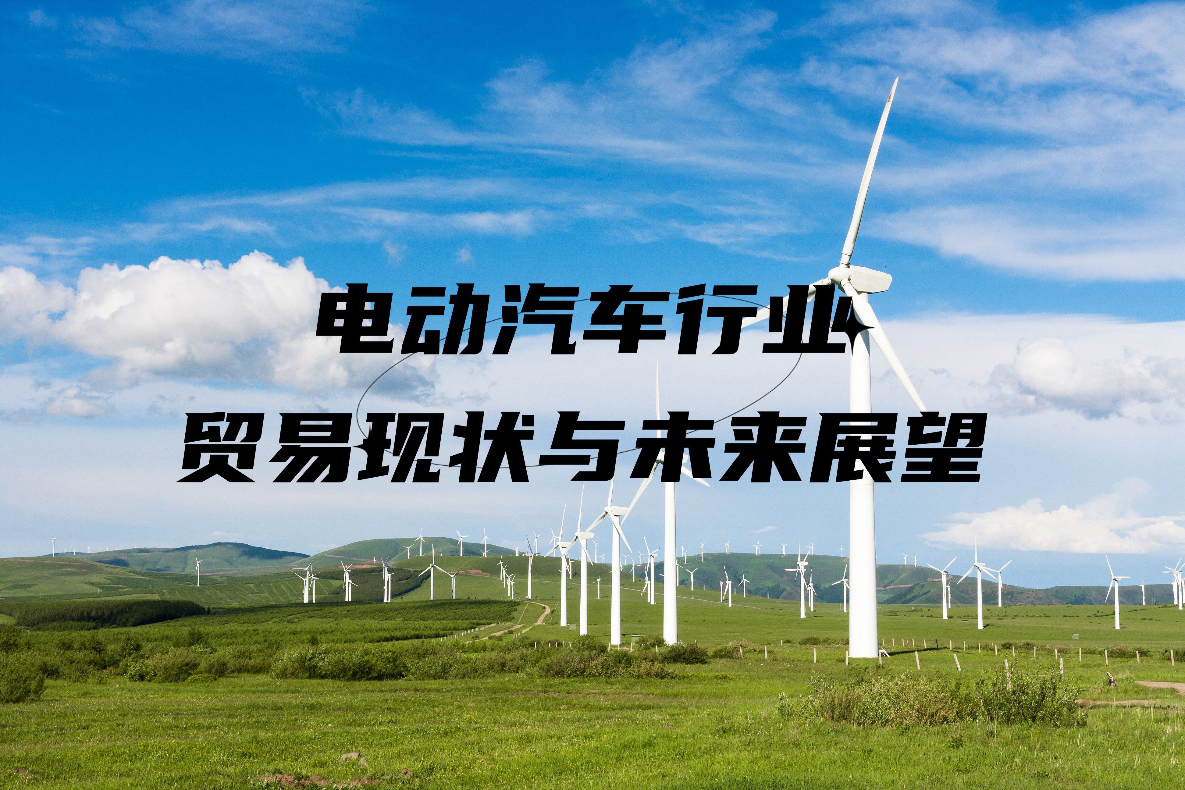探索电动汽车行业的未来，排除马斯克因素的创新与发展