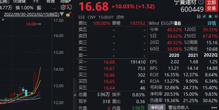 宁夏建材股票，股吧热议与投资价值分析