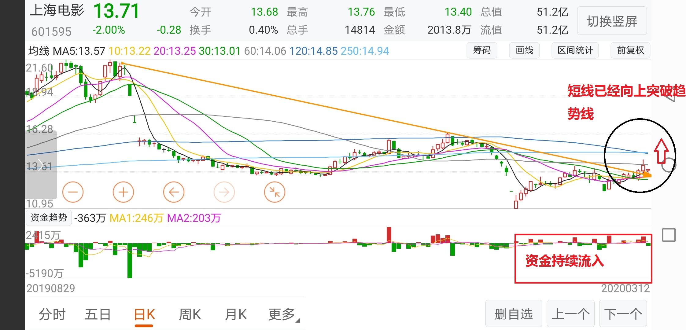 600513资金流向深度解析，市场动态与投资策略