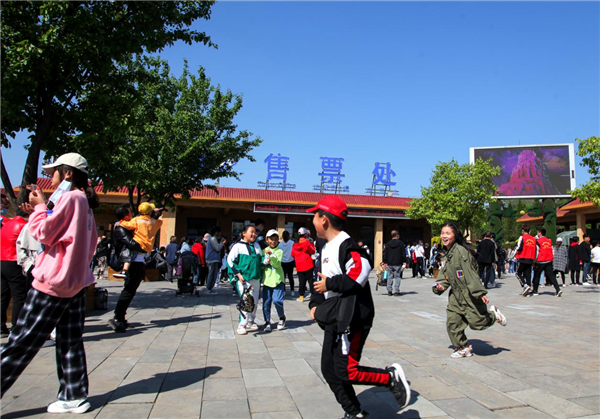 乐凯新材股票，创新与挑战并行的资本市场之旅