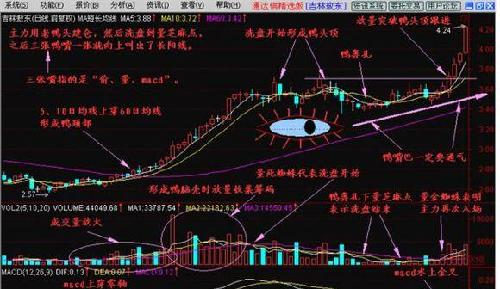 探索300285股票，潜力与价值并存的投资机遇