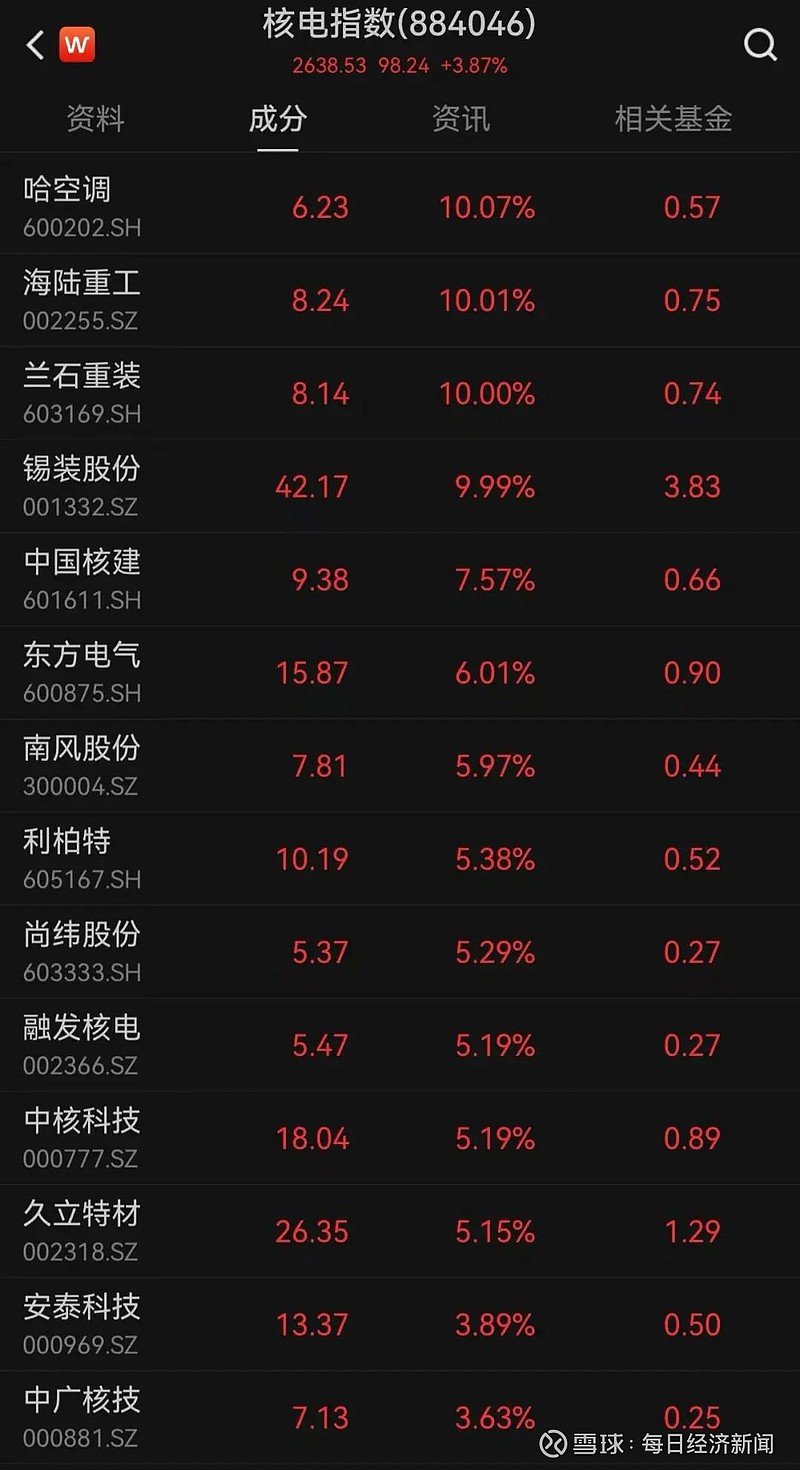 核电概念股龙头，引领绿色能源新时代的投资风向标