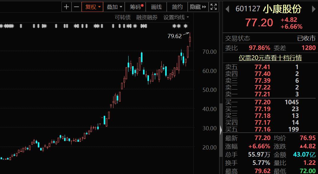 601117股票行情，深度剖析与投资策略