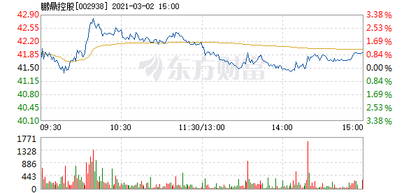 鼎鹏控股股票，潜力与挑战并存的资本市场新星