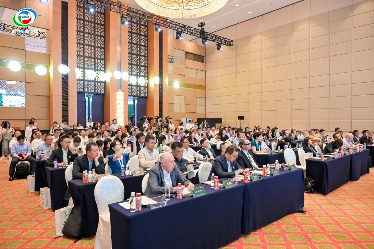 滨化股份601678，深耕化工领域，共绘发展蓝图