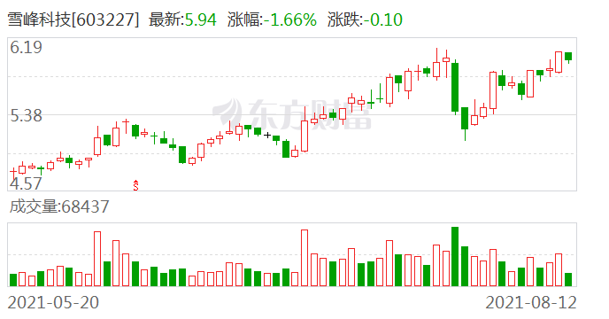 雪峰科技股票，603227的崛起与未来展望