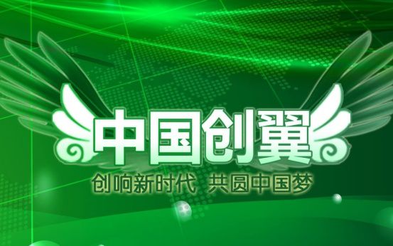 正道集团，以创新为翼，翱翔于行业蓝海