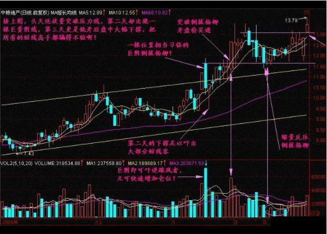 揭秘当前市场，哪些股票正沐浴在重大利好消息的阳光下？