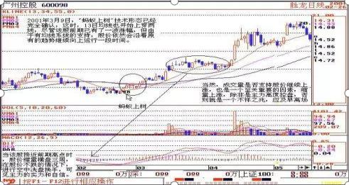 如何解读股票的5日均线