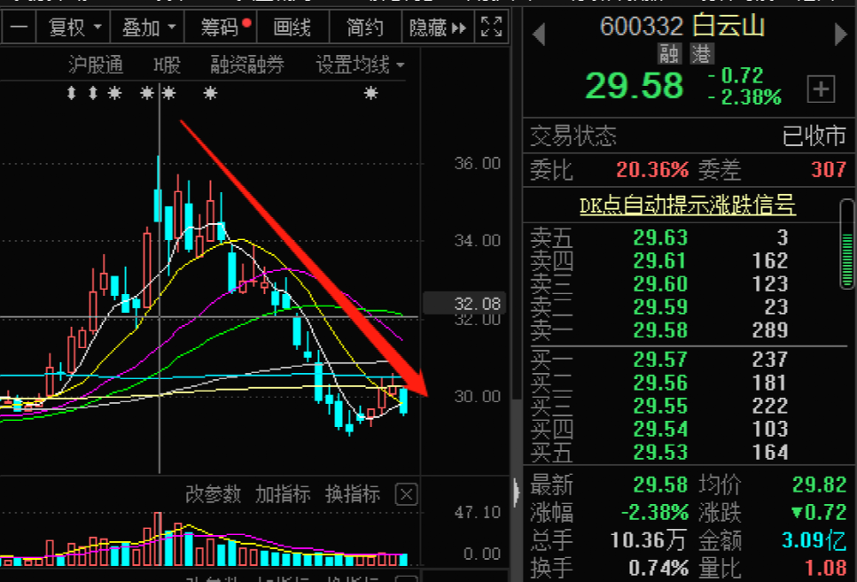 白云山股票，投资前景与市场分析