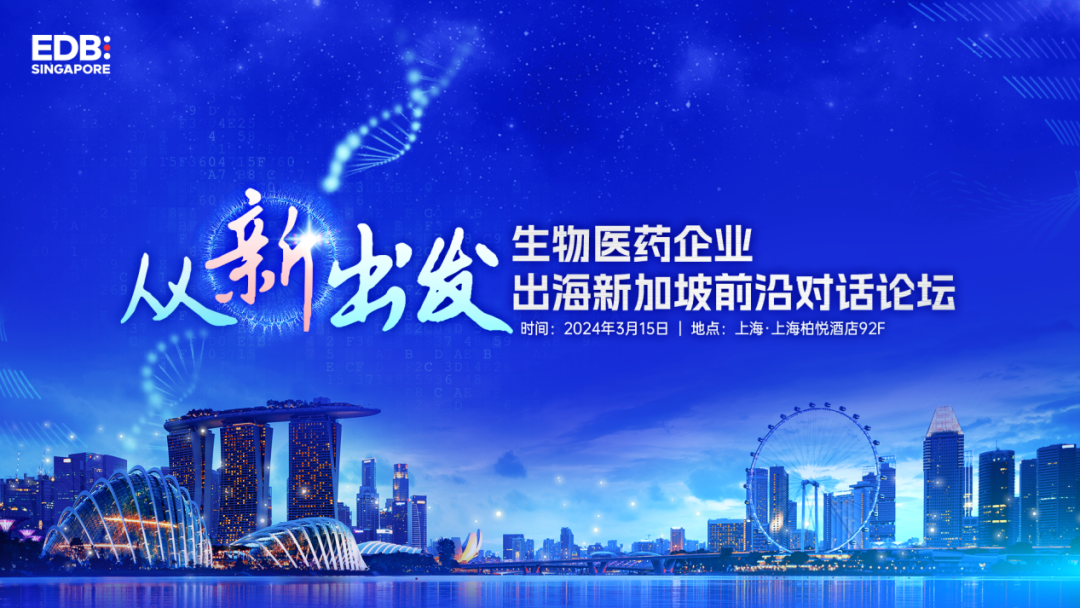 天风股票，探索与机遇