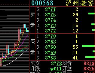 泸州老窖股票股吧，深度解析与前景展望
