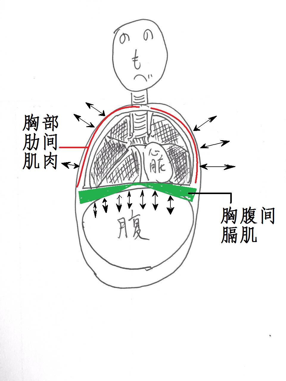 股票游资，揭秘与解析