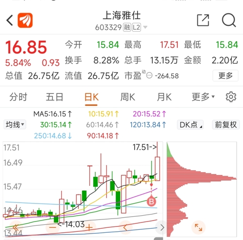 上海雅仕股票，投资新焦点