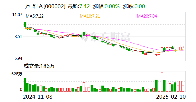 万科集团股票，投资分析与展望