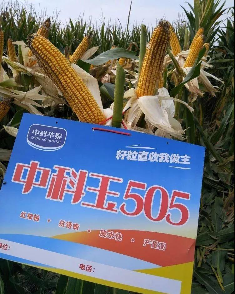 中科三耐股票，投资潜力与市场前景分析