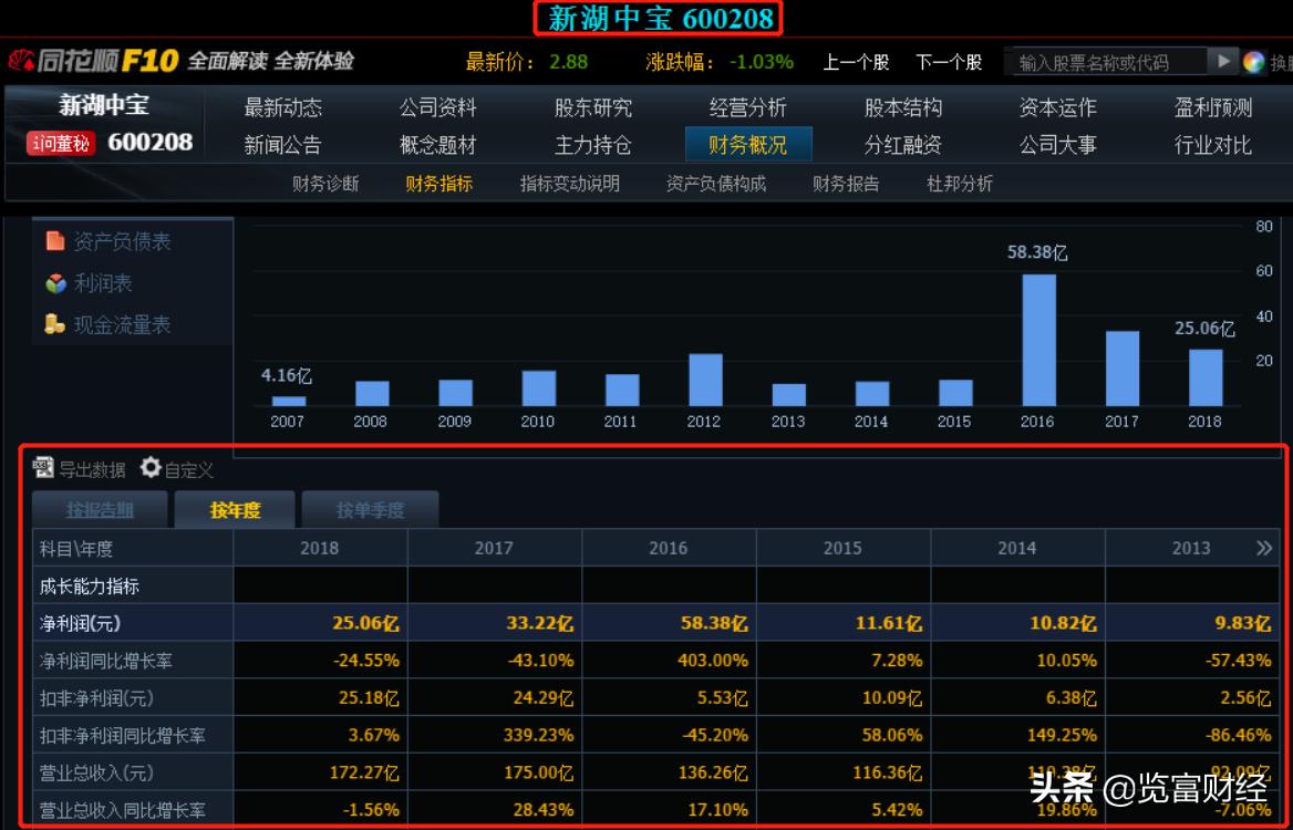 新湖中宝股票吧，深度解析与前景展望