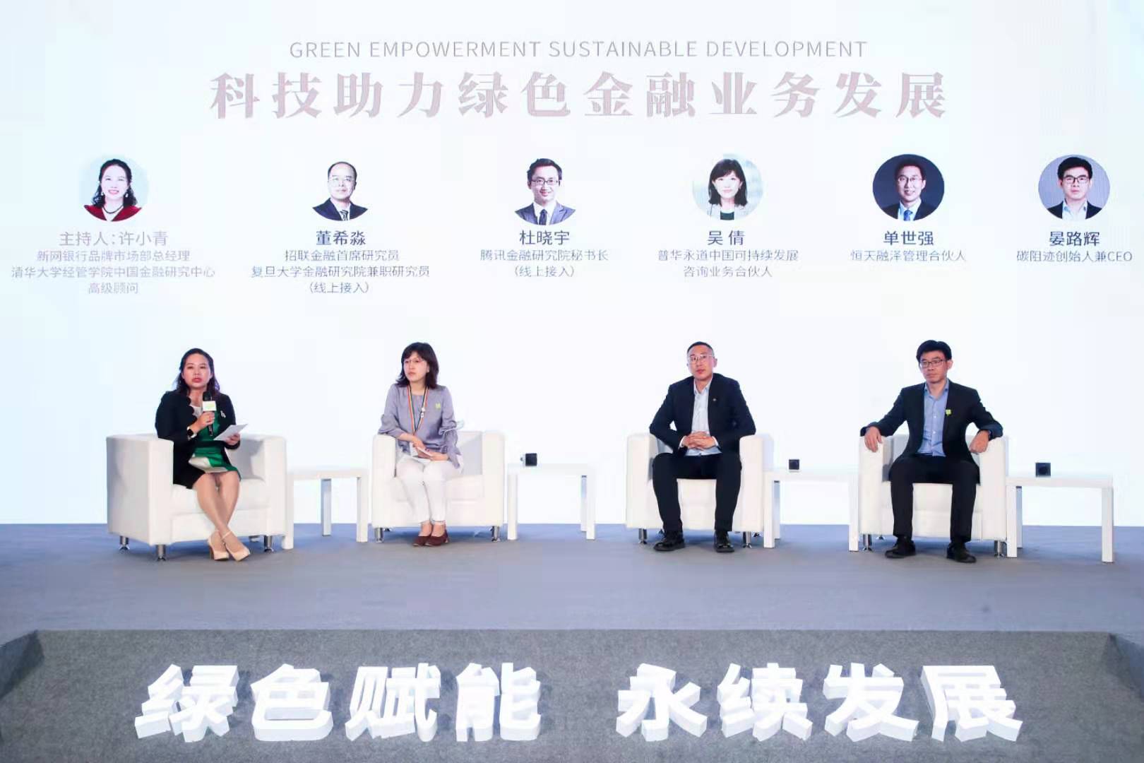 环保类股票龙头股，引领绿色革命的投资机遇与挑战