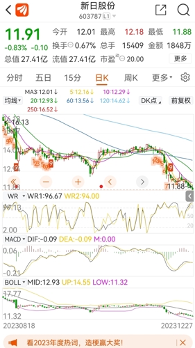 新日股票，探索与机遇