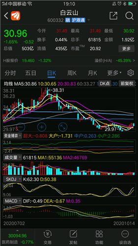 白云山股票，投资前景与市场分析