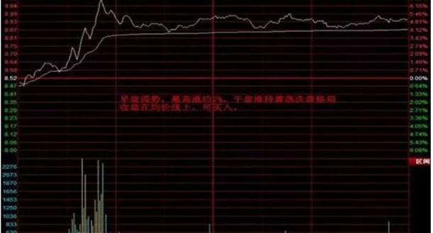 去哪买股票，探索股票市场的入门指南