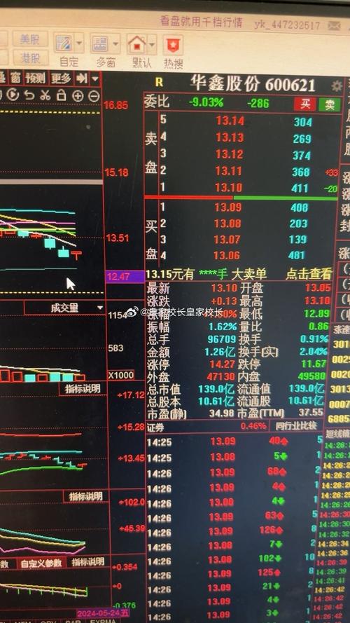 揭秘股票600265的投资魅力与挑战