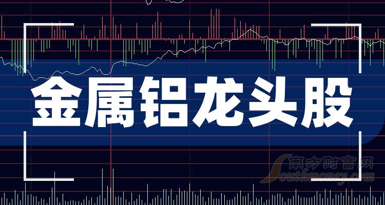 白马蓝筹股概览，聚焦优质股票