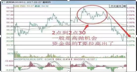 皮阿诺股票能涨到多少—深度分析与展望