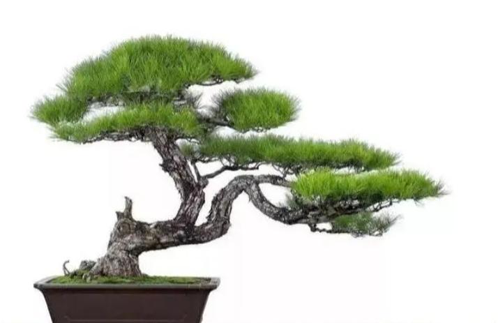 探索300612股票，潜力与价值分析
