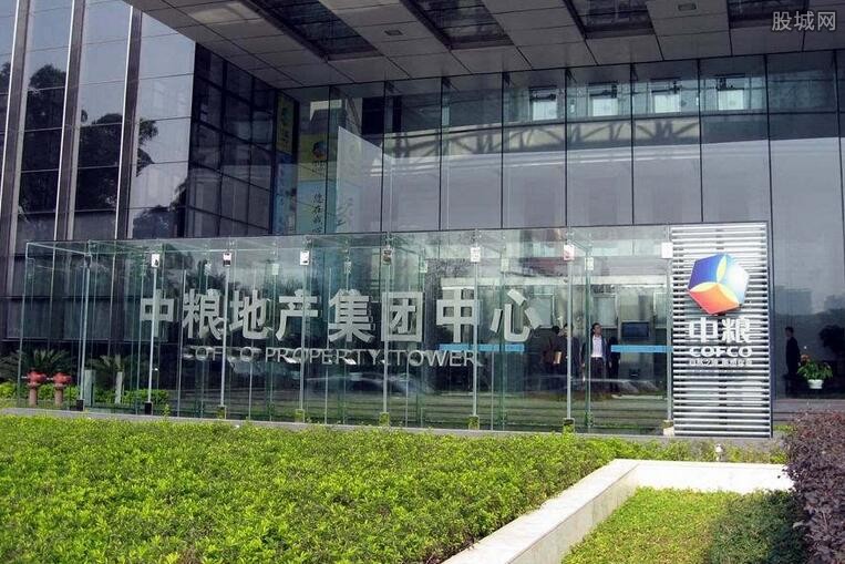 中粮地产股票代码，探索与解析