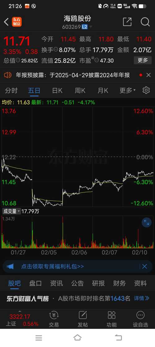 海鸥股份股票，投资潜力与市场前景分析
