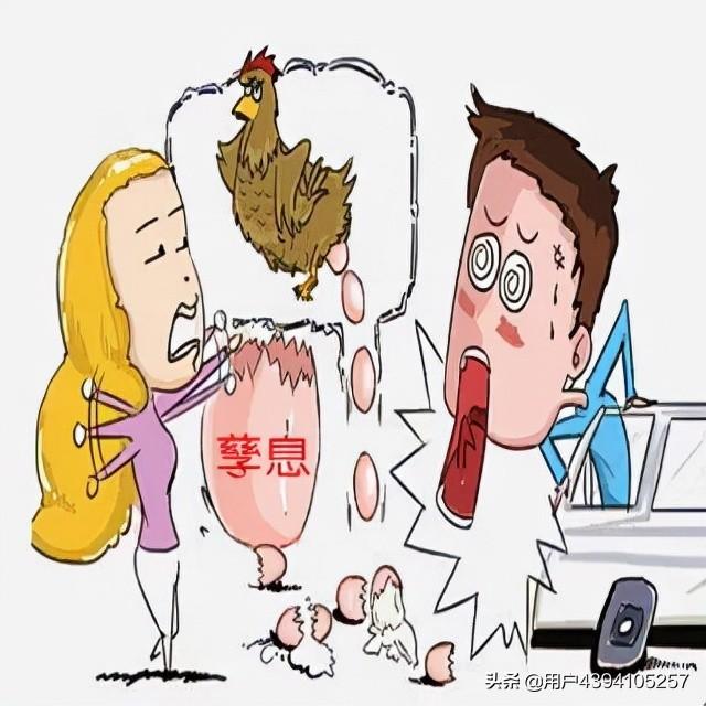 基金与股票的关系与区别，基金是否属于股票？
