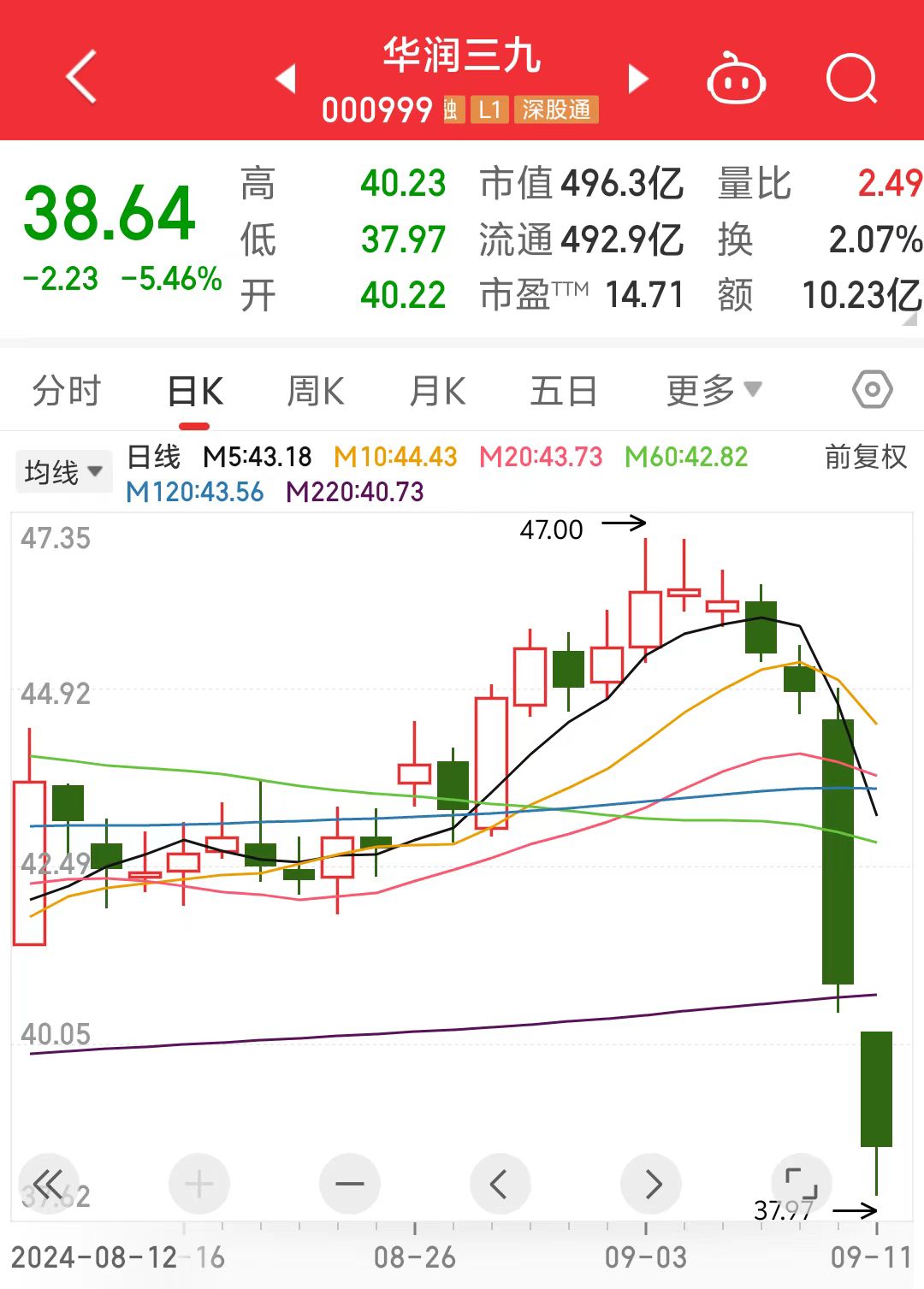 三九药业股票，投资潜力与市场前景分析