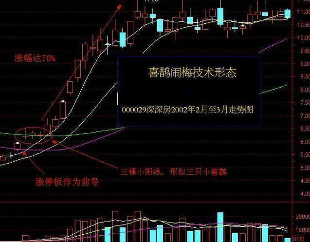 股票涨停的含义及其背后的市场现象