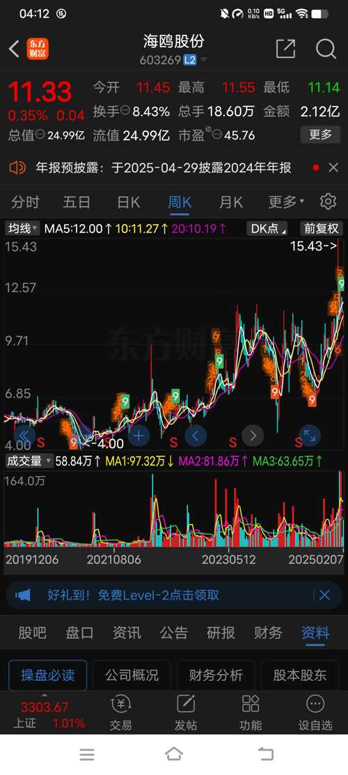 海鸥股份股票，投资潜力与市场前景分析