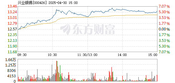 兴业矿业股票，深度解析与前景展望