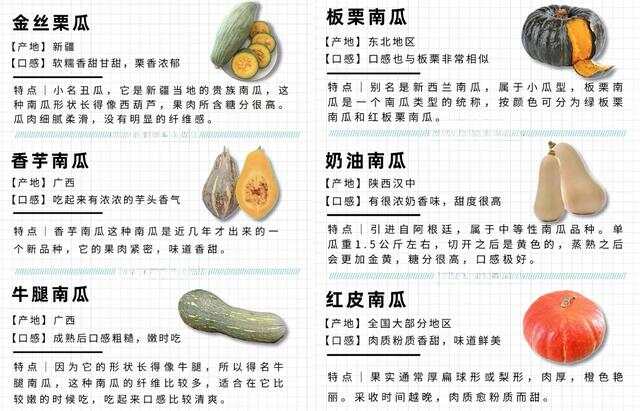 探索证券股票的世界，种类与特点