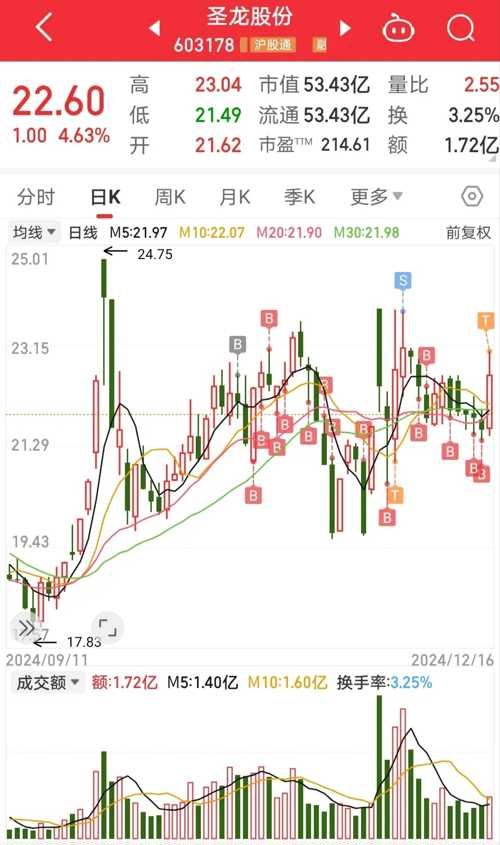 龙生股份股票，探索与前景展望