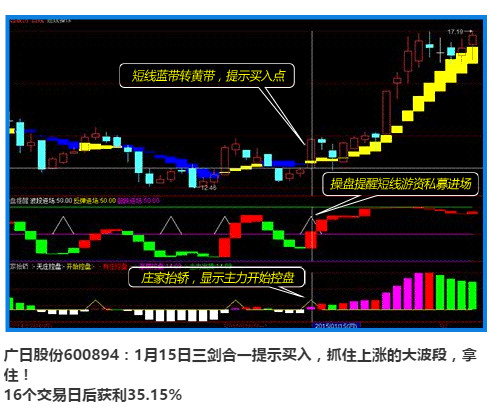 黄蓝带免费炒股软件下载，开启您的投资之旅
