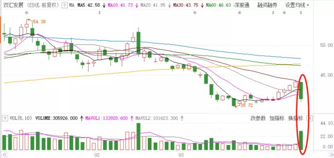 双汇股票，投资分析与展望
